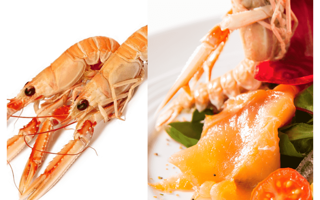 L’arrivée des Langoustines